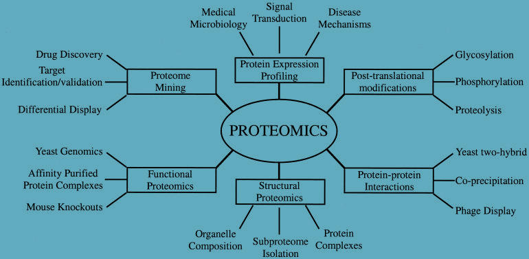 expression-proteomics-and-sequence-alignment help code