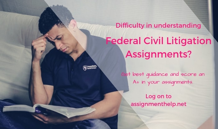 Federal Civil Litigation Assignment Help