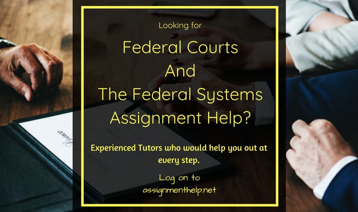 Federal Systems Assignment Help