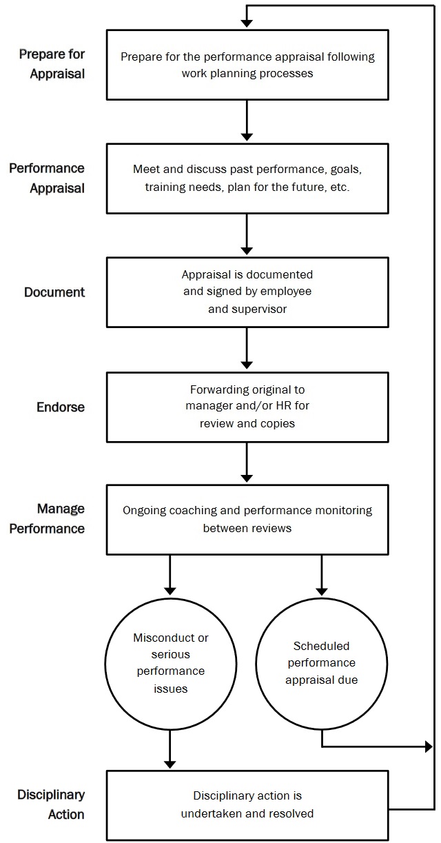 Flow chart of the performance review process