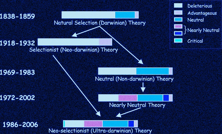 genome evolution and functional genomes at assignmenthelp.net genome-evolution-and-functional-genomes help code