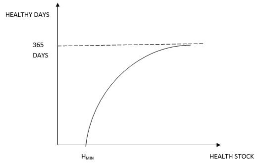 Grossman’s Model Image 1