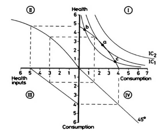 Grossman’s Model Image 11