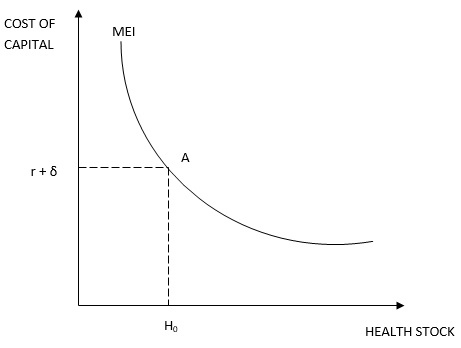 Grossman’s Model Image 2