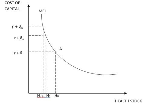 Grossman’s Model Image 3