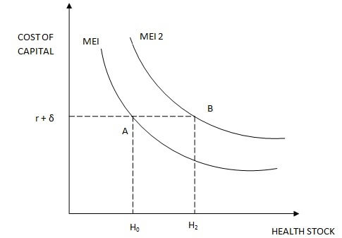 Grossman’s Model Image 4