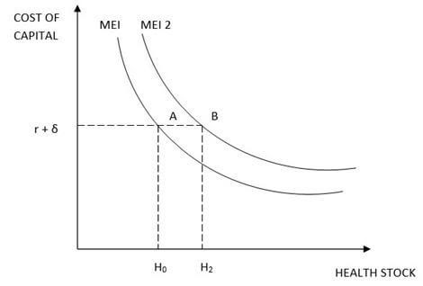 Grossman’s Model Image 5