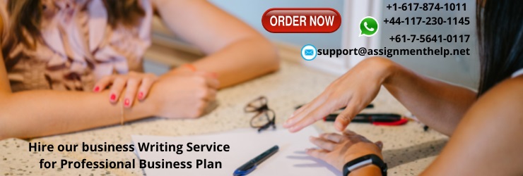 Hire our business Writing Service for Professional Business Plan