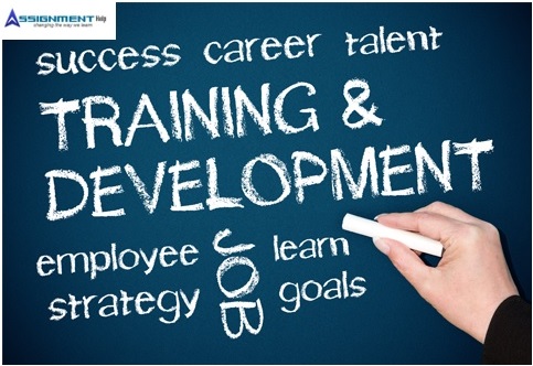 Training And Developing Employees