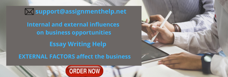 Internal and external influences on business opportunities