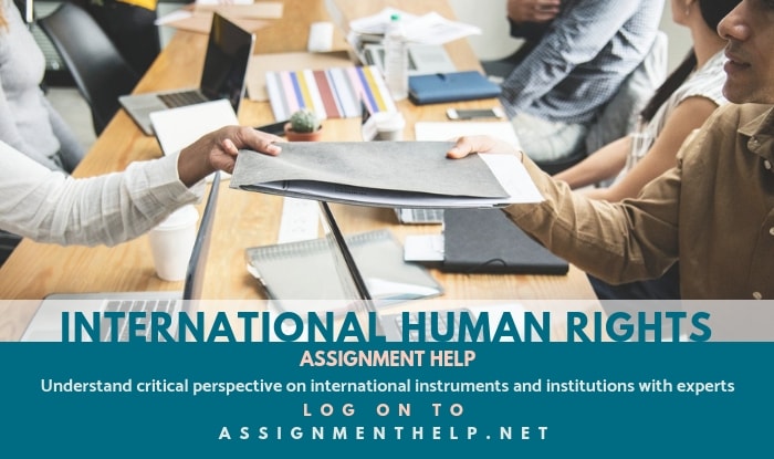 International Human Rights Assignment Help