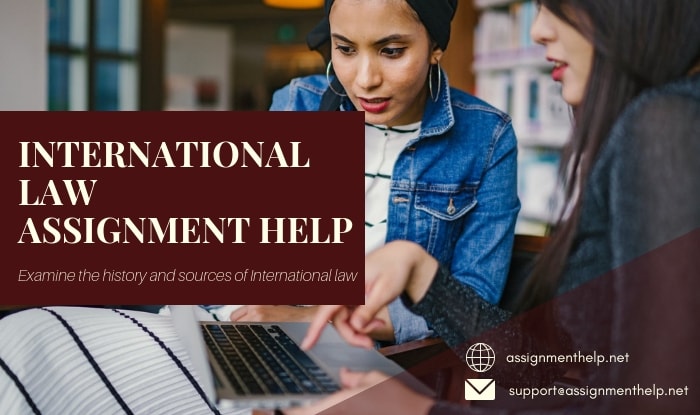 International Law Assignment Help