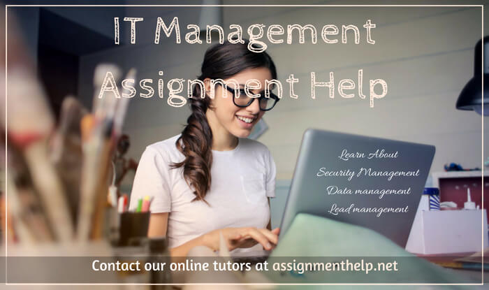 it-management-assignment-help