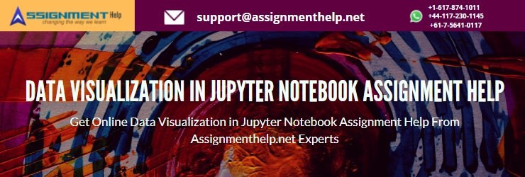 Jupyter Notebook Assignment Help