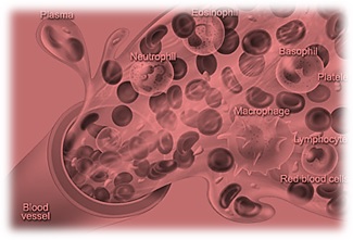 Liquid connective tissue