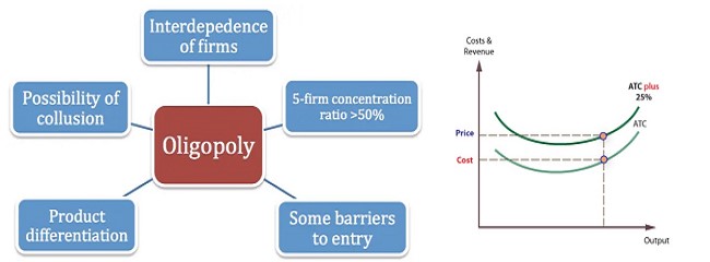 Oligopoly: Meaning and Characteristics in a Market