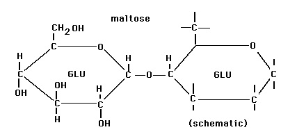 Maltose