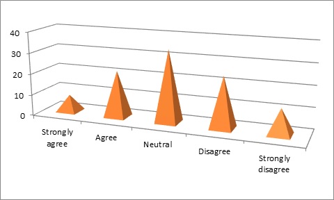 Management Strategy Implemented In MNCs Organization img11