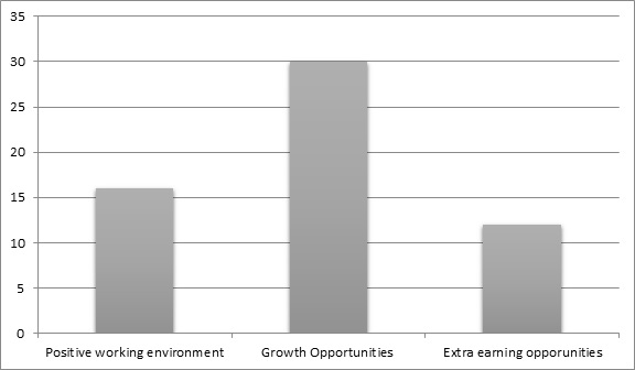 Management Strategy Implemented In MNCs Organization img14