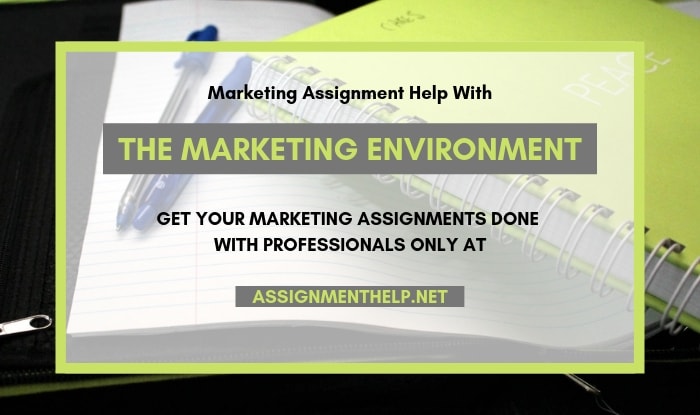Marketing Environment Assignment Help