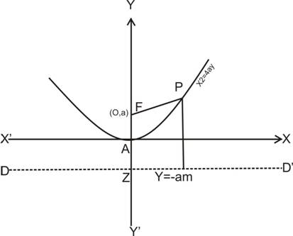 equation of directrix