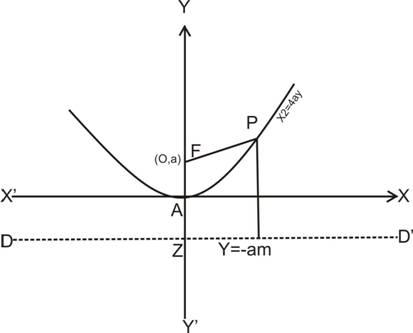 equation of directrix