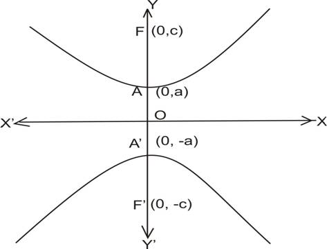forms of hyperbola