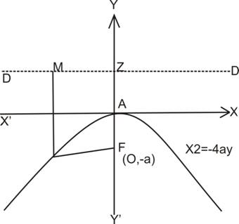 forms of parabola