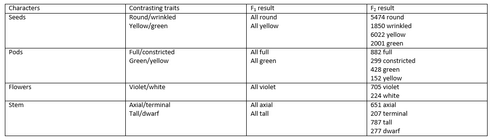 Mendel's theory of genetics Assignment Help