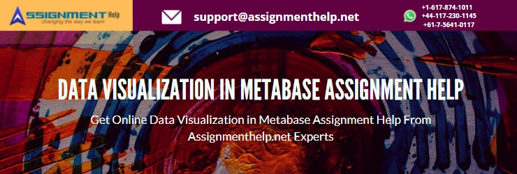 Metabase Assignment Help