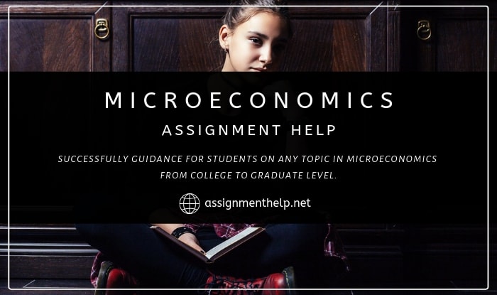 Microeconomics Assignment Help