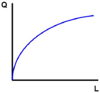 theory of production theory of production