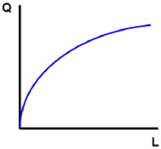 theory of production