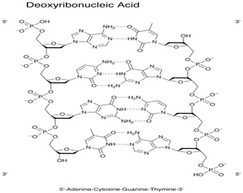 Molecular biology