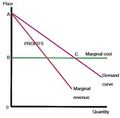 monopolist firm in the form of profits