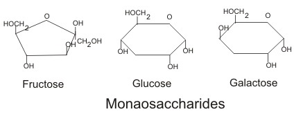 Monosaccharide