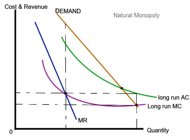 Natural Monopoly