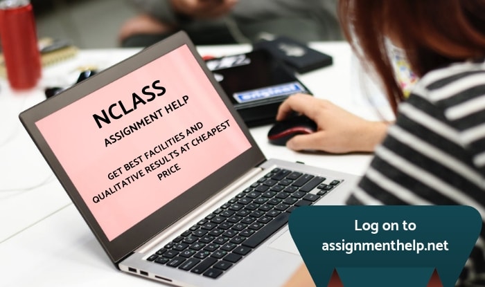 NClass Assignment Help