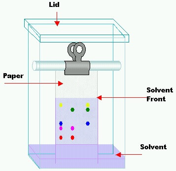 Paper Chromatography