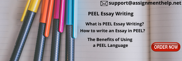 PEEL Essay Writing