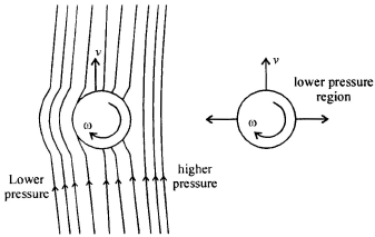 magnus effect