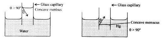 angle of contact