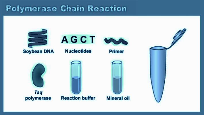 polymerase-chain-reacton help cod