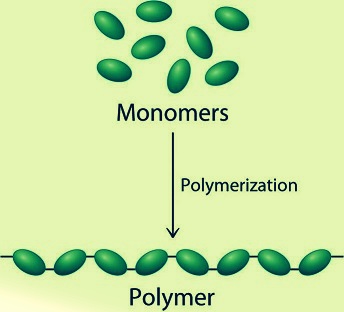 polymers help code