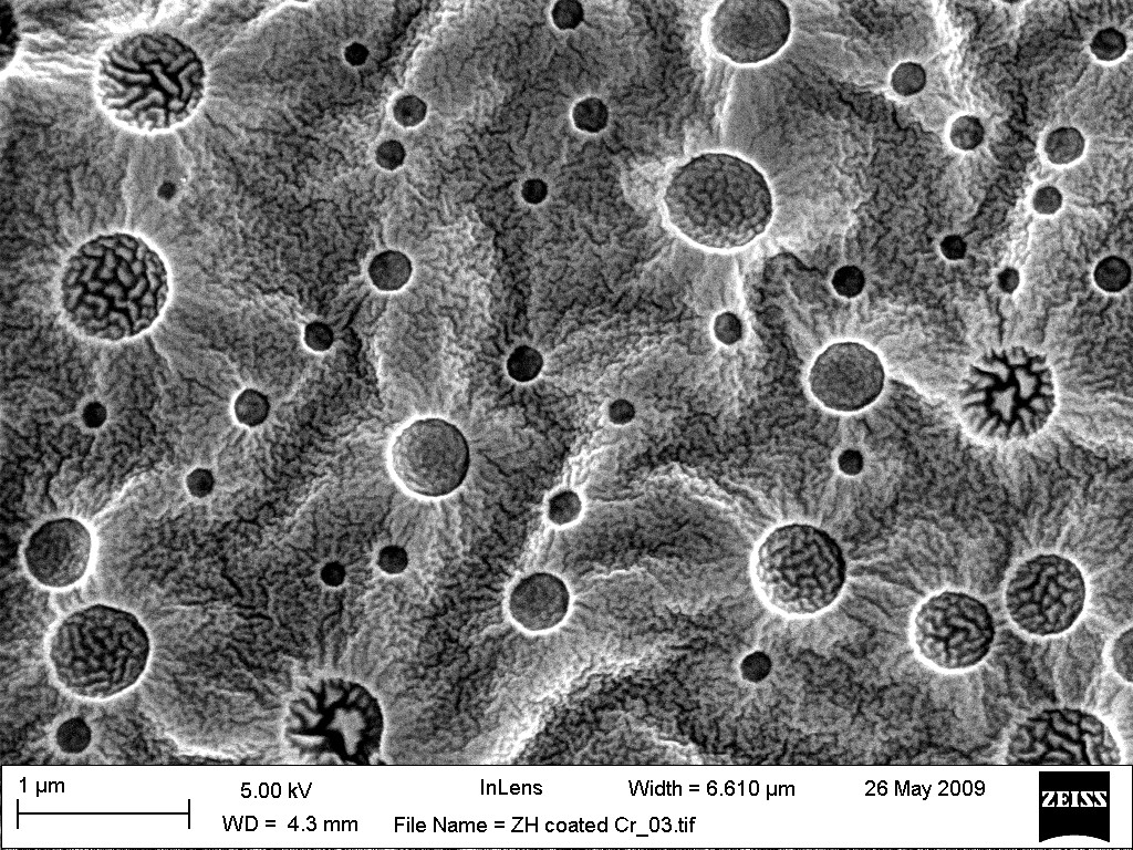 polymers help code