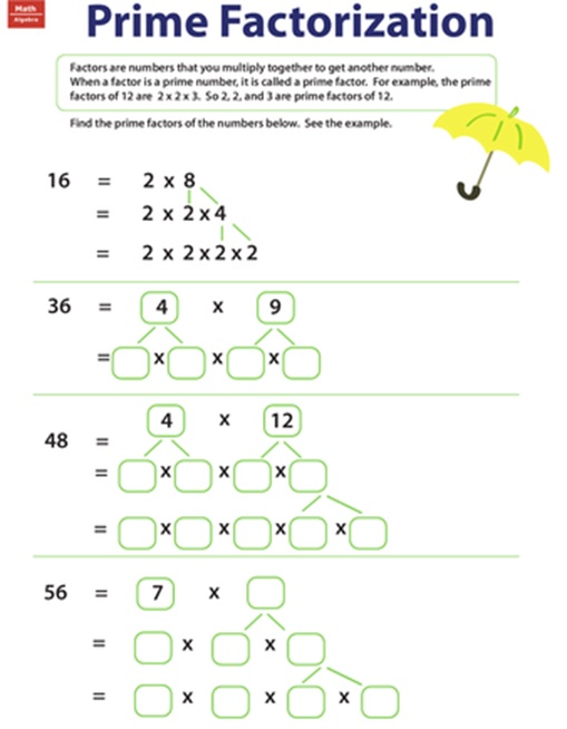 prime factorization