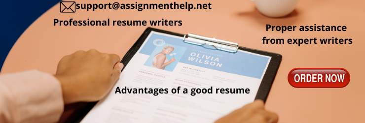 Professional resume writers