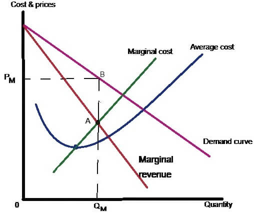 Profit Maximization by a Monopolist