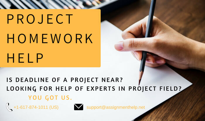 Project Homework Help