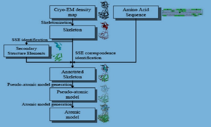 protein-structural-analysis help code